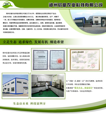 豆渣喂豬的發酵方法、發酵劑選擇及技術服務指南